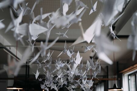 photo of paper swans hanged from the ceilingの写真素材