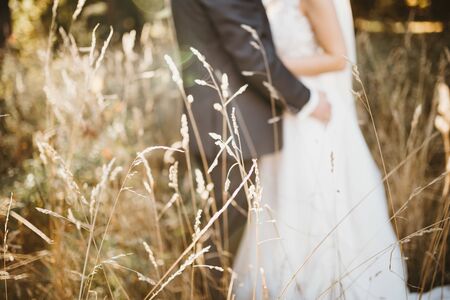a married couple in a feildの写真素材