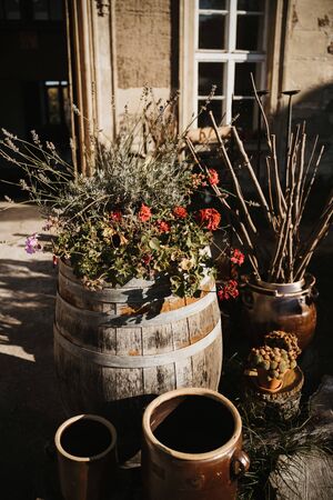 plants in the garden in a wine containerの写真素材