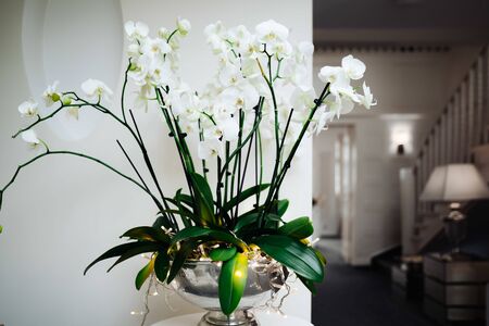 a flower decoration in a hotelの写真素材