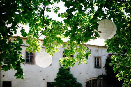 paper lights hanged on a tree in the gardenの写真素材
