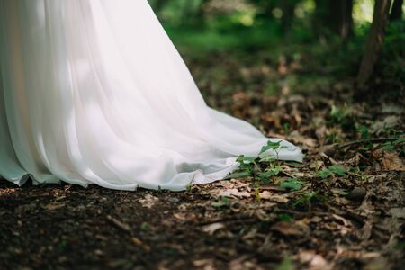 a bride's dress in the forestの写真素材