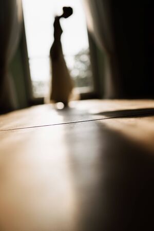 a silhouette of a dancer in a dressの写真素材