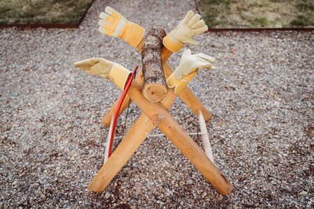 a sawhorse in a weddingの写真素材