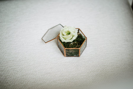 wedding rings in a glass box with a rose