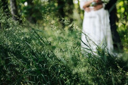a wedded couple standing in a forestの写真素材