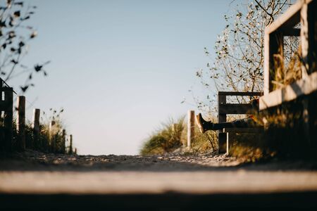 a man relaxing on the a country roadの写真素材