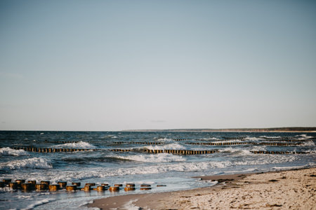 wood columns in the waterの写真素材