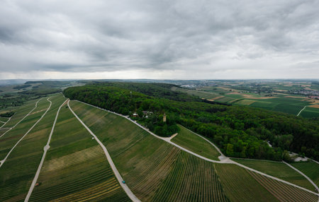 Heuchelberger Warte in national park Stromberg-Heuchelberg Germanyの写真素材