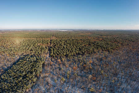 aerial drone view on winter forest with sunの写真素材