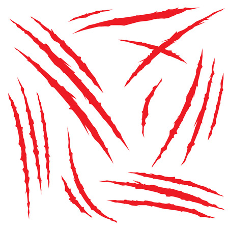 Set of claw scratches, isolated on white background, vector illustrationのイラスト素材