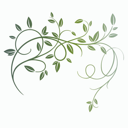 Hand drawn vector vintage spring tree branch with leaves isolated on white background. Retro swirl ornate garden decoration, border, frame, corner. For calligraphy style postcard, menu, wedding invitation, romantic graphic design.のイラスト素材