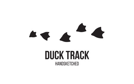 Duck footprints and tracks isolated on white background for wildlife concept design. Bird tracks, duck paw print.のイラスト素材