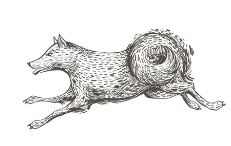 Running dog, hand drawn character sketch. Ink vector illustration. Dog fast jumping, hunting.のイラスト素材