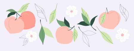 Round orange peaches, leafs and flowers. Set of trendy vector hand drawn illustrations. Healthy natural food, juicy summer fruit elements for web, app, textile, wallpaper, stationery design.のイラスト素材