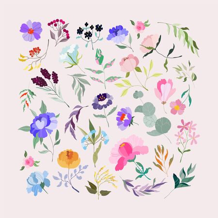 Vector Flowers set. Elegant feminine eucalyptus, wild purple peonies, violet branch, branches with berries. Variety of garden botanics for web, app, pattern and logo design. Modern illustration.のイラスト素材