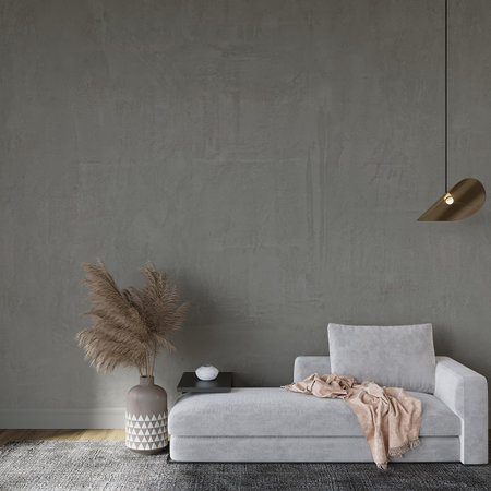 Interior of modern living room with gray sofa and gray wall, 3d renderの写真素材