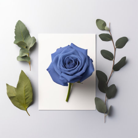 Blue rose with eucalyptus leaves on a white backgroundの素材