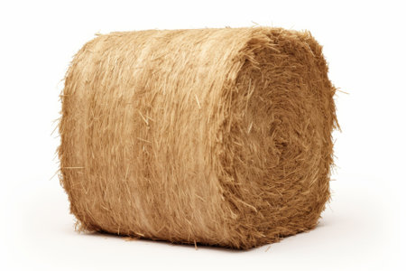 roll of hay on a white background, isolate, close-upの素材