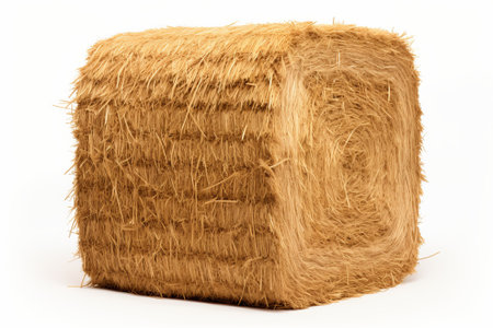 Bale of hay on a white background. Close-up.の素材