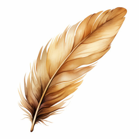 Feather of a bird on a white background. Watercolor illustrationの素材