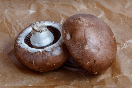 Two commonly used mushrooms, agaricus bisporus, on a wrinkled paperの写真素材