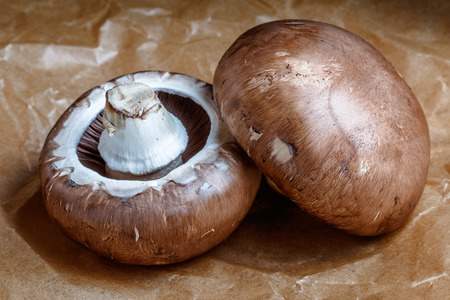 Two commonly used mushrooms, agaricus bisporus, on a wrinkled paperの写真素材