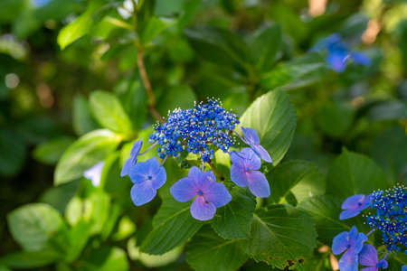 癒しの風景の写真 イラスト素材一覧 3 563件 ストックフォトのamanaimages Plus