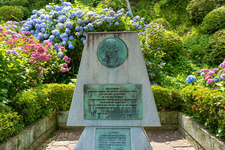 Ajisai ajisai Shimoda Parkのeditorial素材