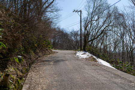 The road in the forest with blue sky and white cloud background.の写真素材