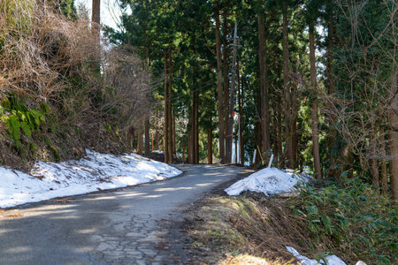 Road in the forest in winter with snow and trees in the backgroundの写真素材