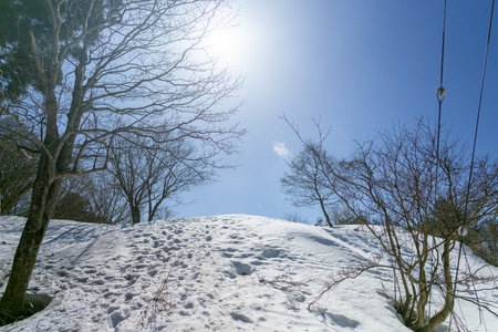 Snowy landscape with blue sky and white clouds in winter season.の写真素材