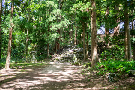Stone path in the park with trees and shrubs in the backgroundの写真素材