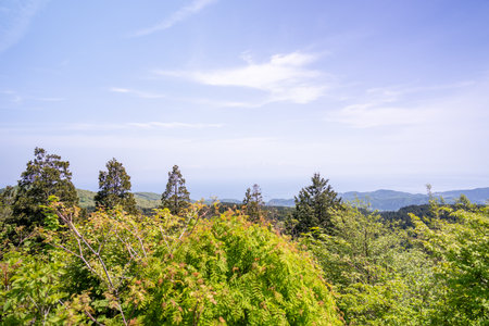 View from the top of the mountain with green trees and blue skyの写真素材