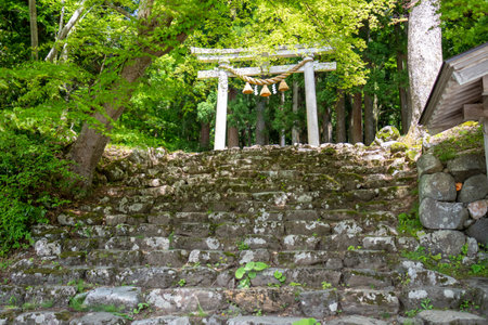 The Shinto shrine of Kamakura, Japan.の写真素材