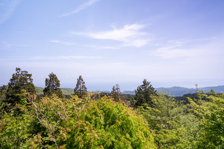 View from the top of the mountain to the forest and the sea.の写真素材