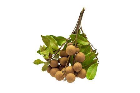 Longan Fruit on white isolated Backgroundの写真素材