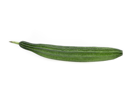 Melon Luffa On White Isolated Backgroundの写真素材