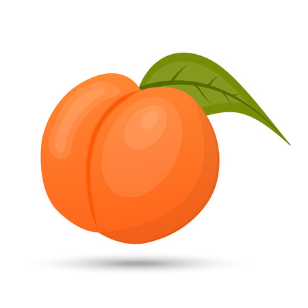 vector peach on white backgroundのイラスト素材