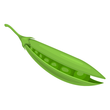 Vector illustration of peas an a  white backgroundのイラスト素材