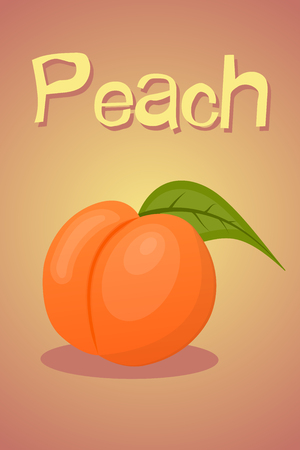 Vector colorful peach icon an a green backgroundのイラスト素材
