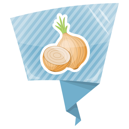vector illustration of onion an a white backgroundのイラスト素材