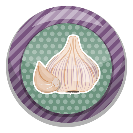 vector illustration of garlic an a white backgroundのイラスト素材