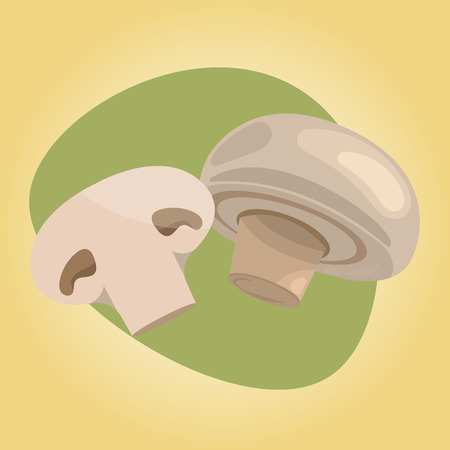 Champignon colorful icon. Fresh champignon mushroom vector illustrationのイラスト素材