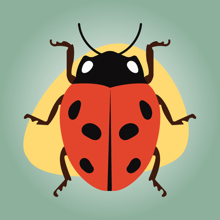 Ladybug colorful icon. Ladybug cute cartoon illustrationのイラスト素材