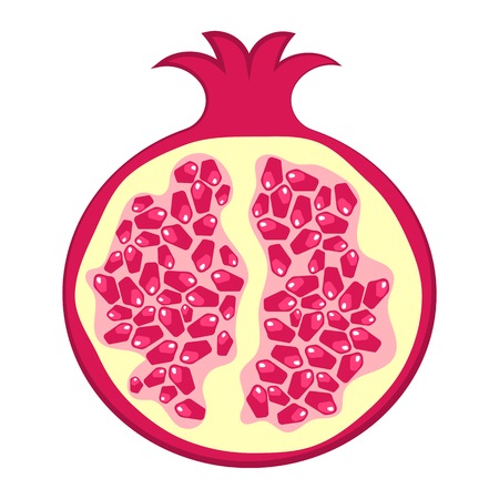 Pomegranate colorful icon. Vector illustration in cartoon styleのイラスト素材