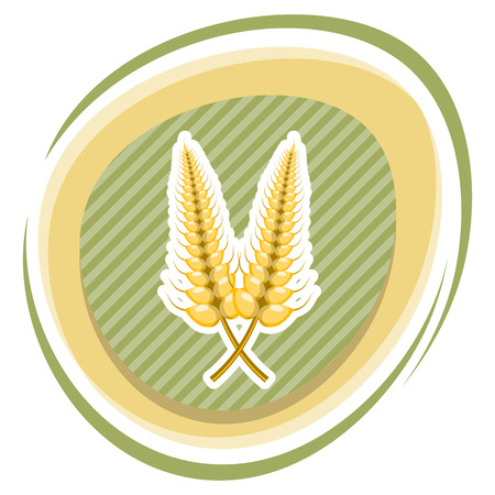 Vector colorful illustration of barley, cartoon styleのイラスト素材