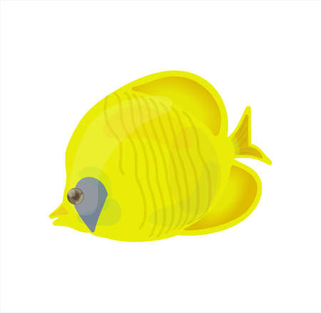 Portrait of nice tropical fish. Vectorのイラスト素材