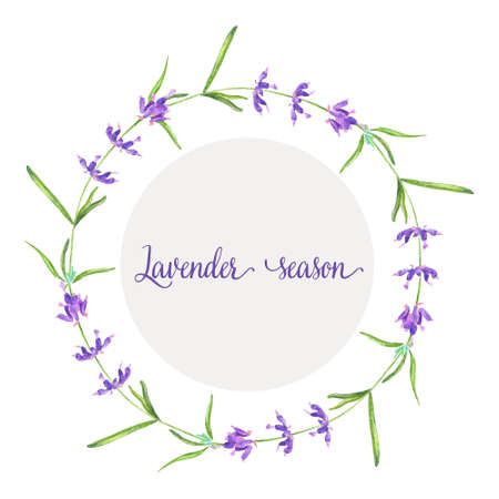 Lavander flower in a watercolor style isolated. Vector illustrationのイラスト素材