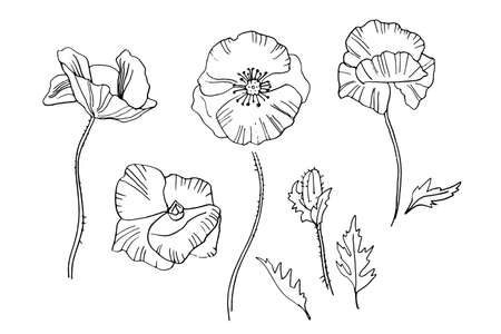 Hand drawing poppies flowers for greeting card, invitation, Henna drawing and tattoo template. Vector illustration doodleのイラスト素材